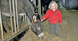 Esel- und Landspielhof