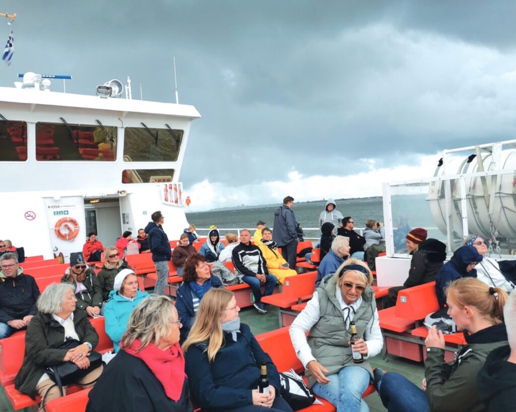 Zugvögelgruppe auf einer Schiffsüberfahrt.