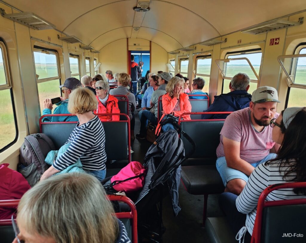 Zugvögelgruppe in der Kleinbahn.
