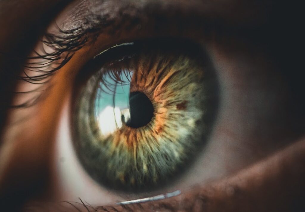 Das Auge – unser wichtigstes Sinnesorgan