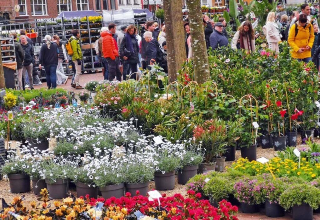 Der Grote Markt ist am Karfreitag besonders voll mit Blumen und Menschenmassen.
